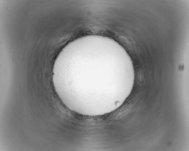 X0000090461105200708102105