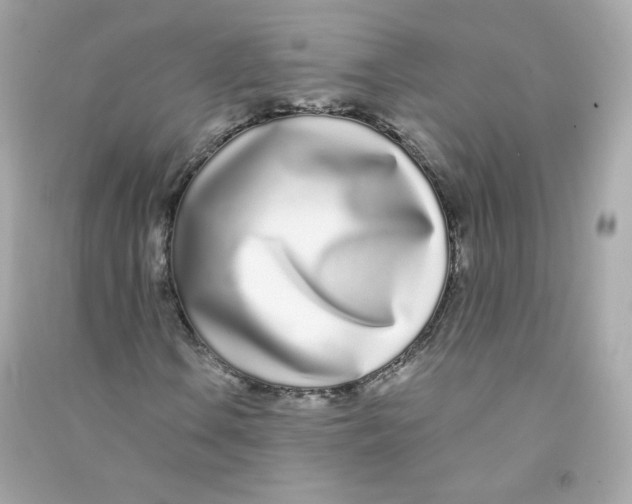 X0000090461106200708102105