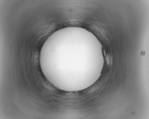 X0000090461107200708102105