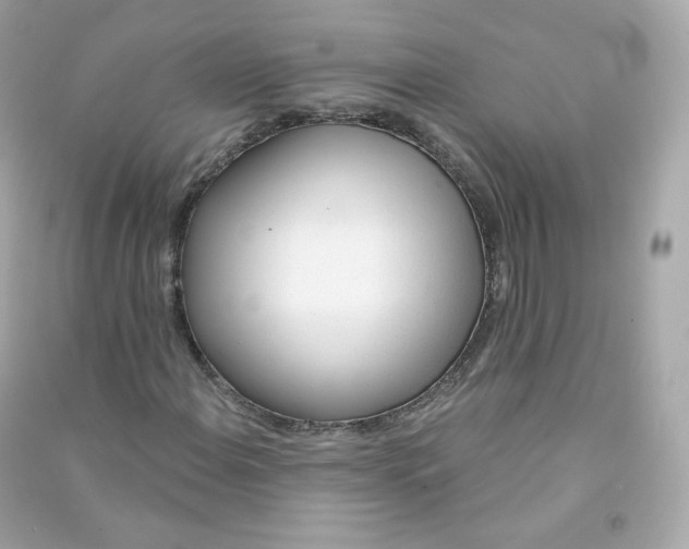 X0000090461108200708102105