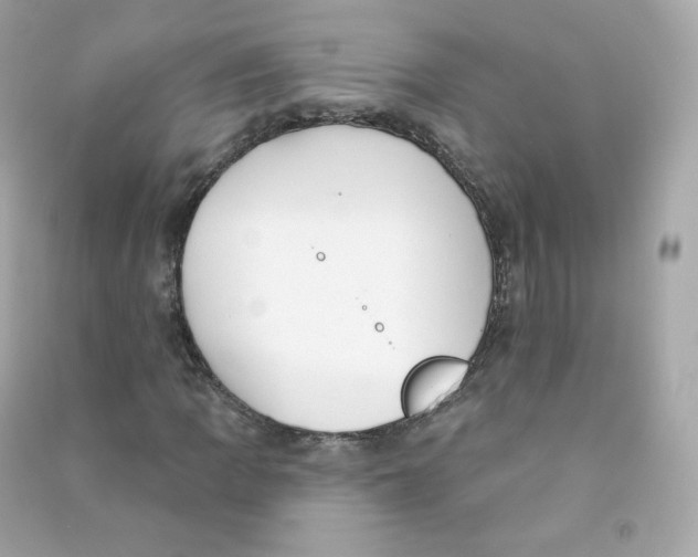 X0000090461109200708102105