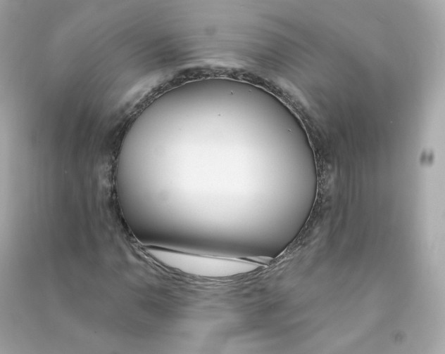X0000090461110200708102105
