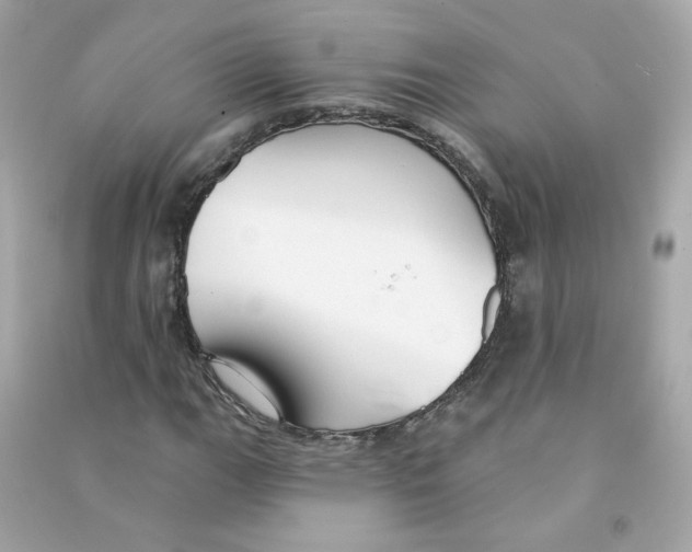 X0000090461111200708102105