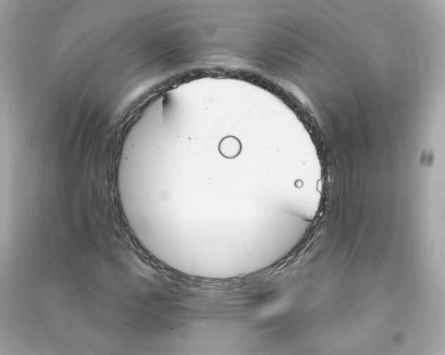 X0000090461112200708102105