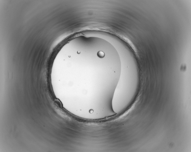 X0000090461114200708102105