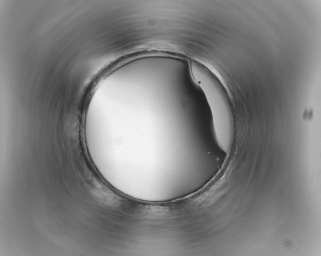 X0000090461115200708102105