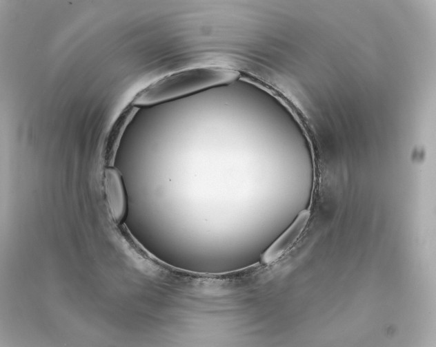 X0000090461116200708102105