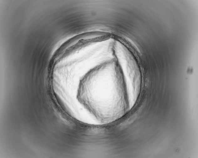 X0000090461117200708102105