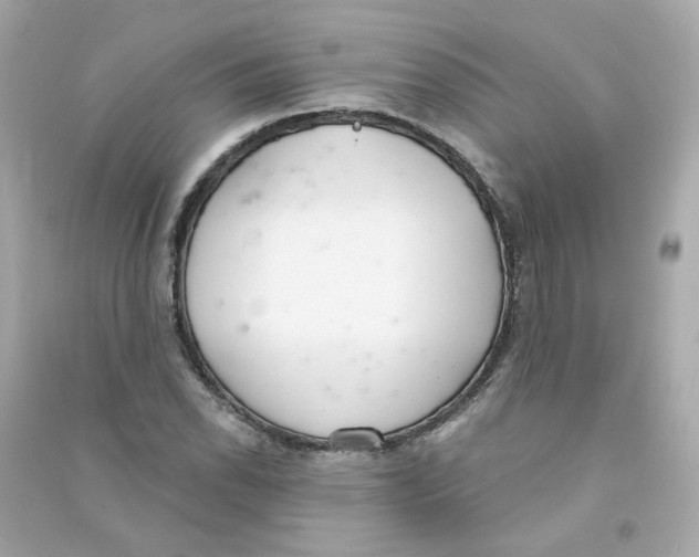 X0000090461118200708102105