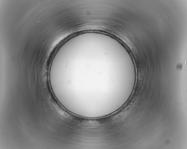 X0000090461119200708102105