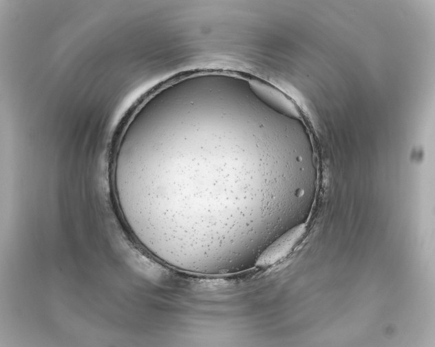 X0000090461120200708102105