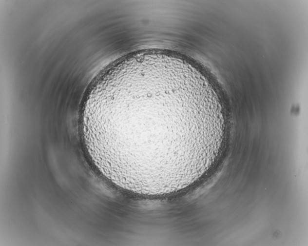 X0000090461121200708102105
