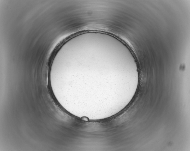 X0000090461123200708102105