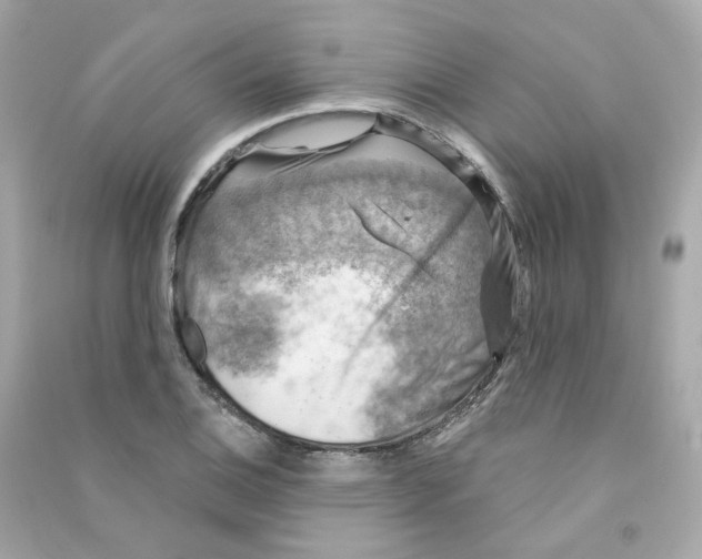 X0000090461124200708102105