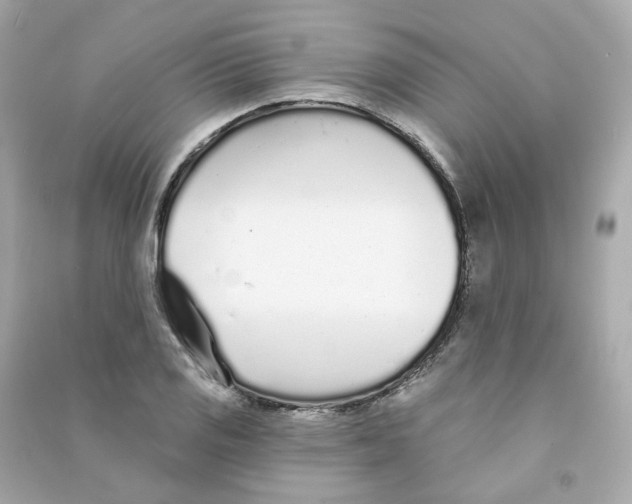 X0000090461125200708102105