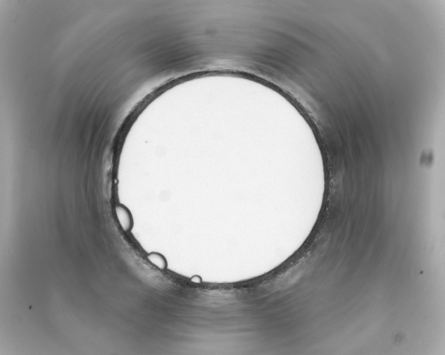 X0000090461126200708102105