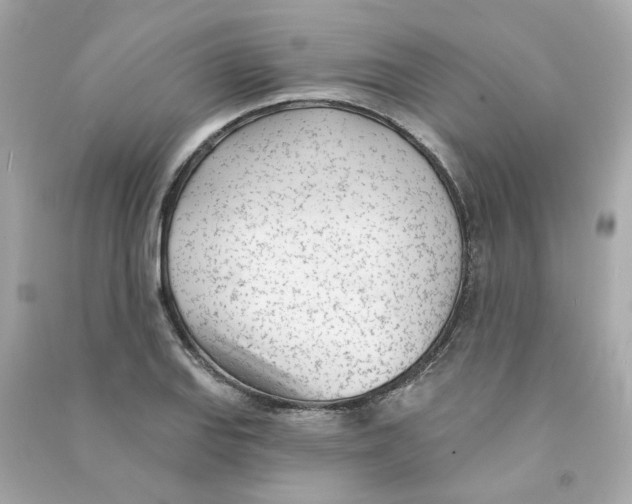 X0000090461127200708102105