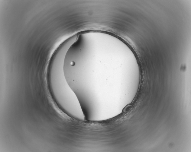 X0000090461128200708102105