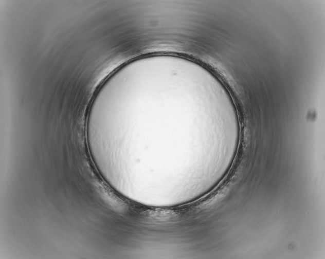 X0000090461129200708102105