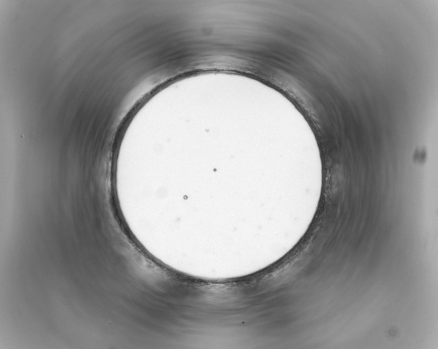 X0000090461130200708102105
