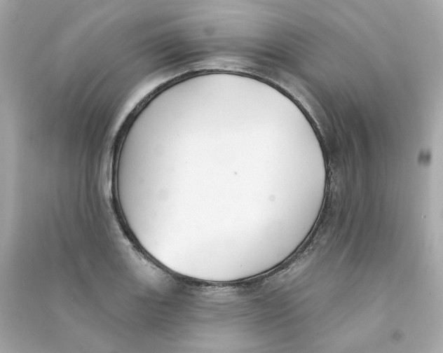 X0000090461131200708102105