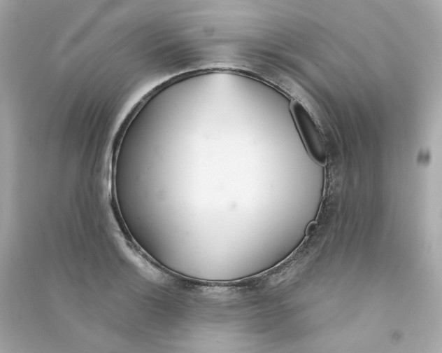 X0000090461132200708102105
