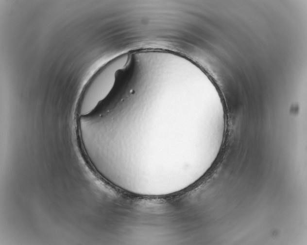 X0000090461133200708102105