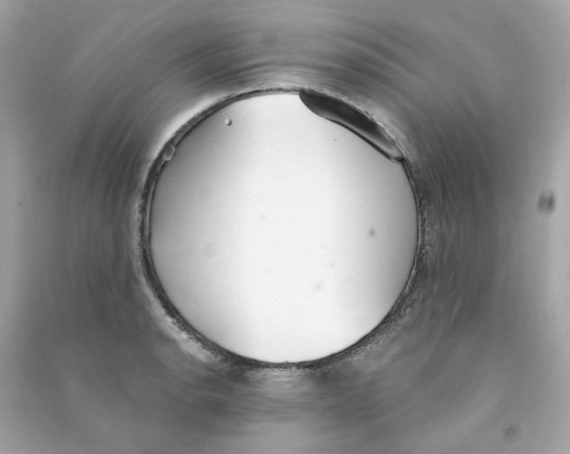 X0000090461134200708102105