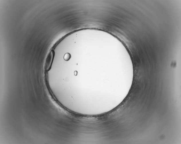 X0000090461135200708102105