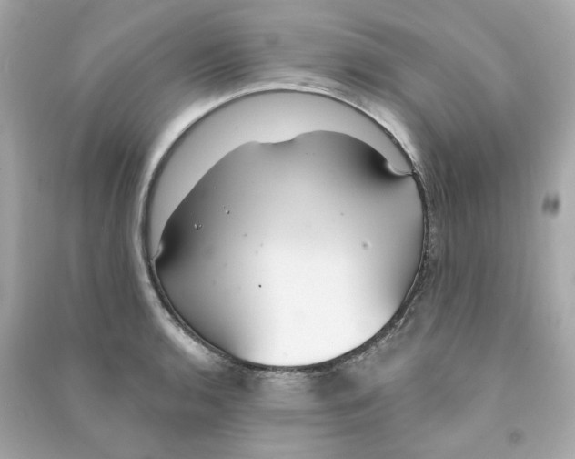 X0000090461136200708102105