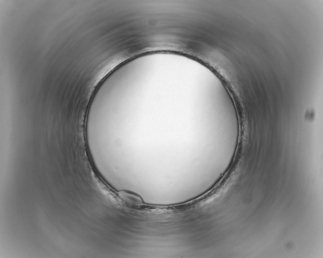 X0000090461137200708102105