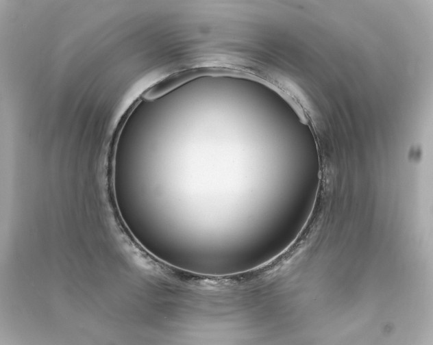 X0000090461138200708102105