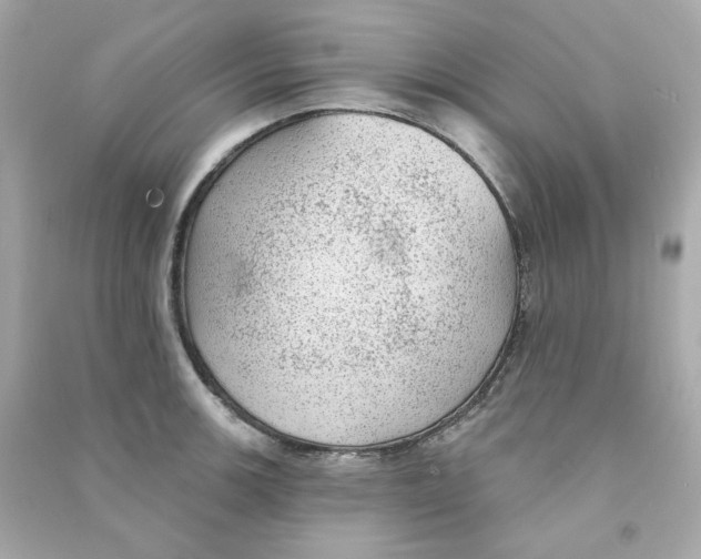 X0000090461139200708102105
