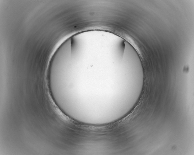 X0000090461140200708102105