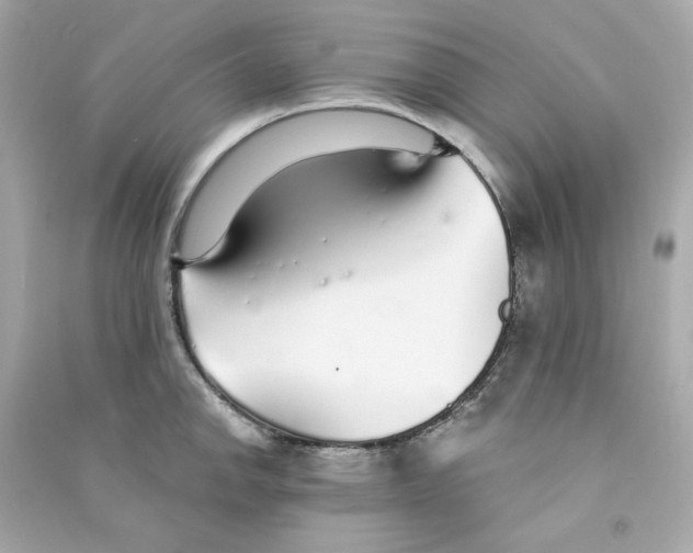 X0000090461142200708102105