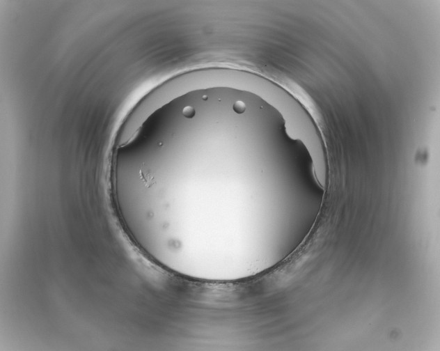 X0000090461144200708102105