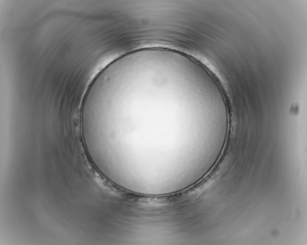 X0000090461145200708102105