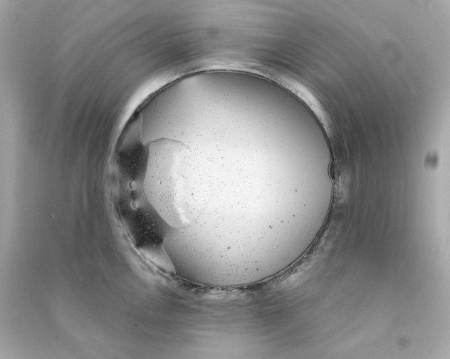 X0000090461146200708102105