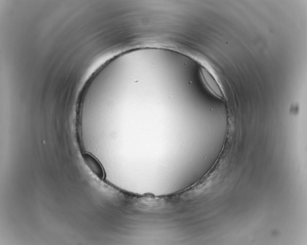 X0000090461147200708102106