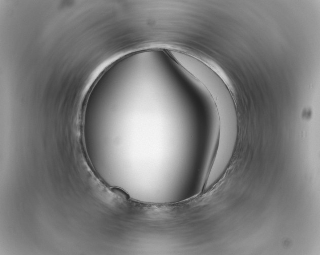 X0000090461148200708102106