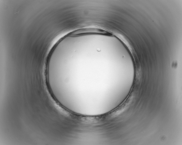 X0000090461149200708102106