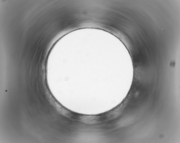 X0000090461150200708102106