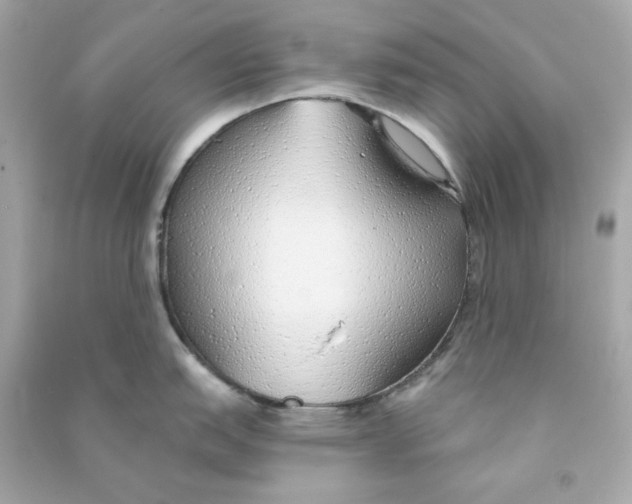 X0000090461151200708102106