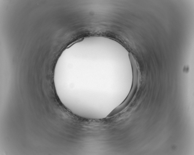 X0000090461153200708102105