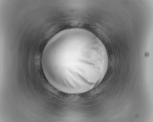X0000090461154200708102105
