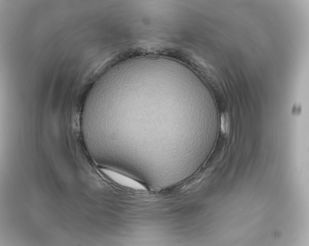 X0000090461155200708102105