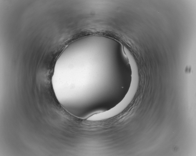 X0000090461156200708102105