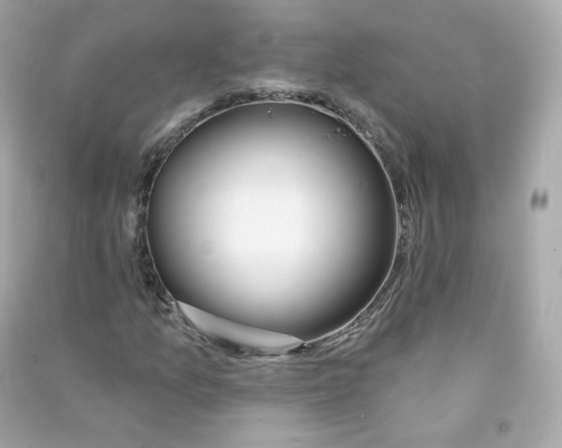X0000090461157200708102105