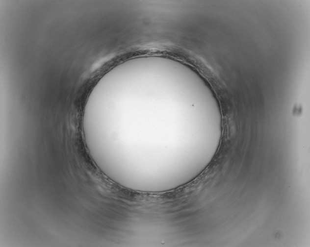 X0000090461158200708102105