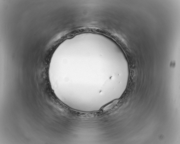 X0000090461159200708102105